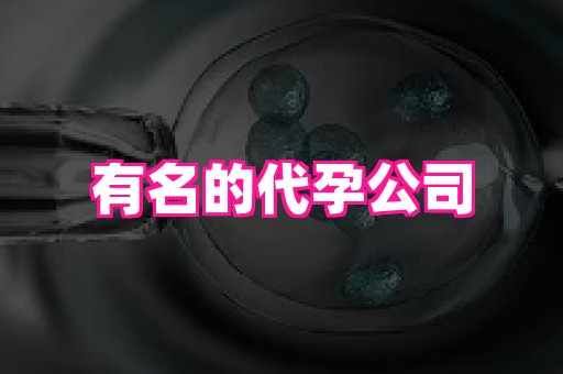 北京助孕网 4